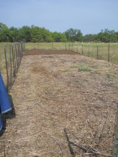 Starting New Mulch Layer on Garden 2