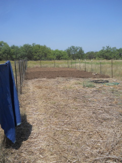 Continuing New Mulch Layer on Garden 2