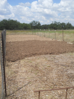 More New Mulch Layer on Garden 2