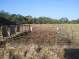 Garden 2 New Mulch Layer Complete