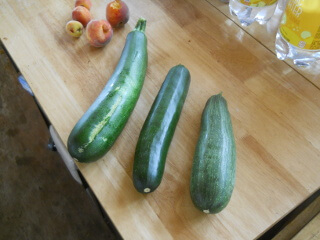 Still More Zucchini