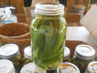 Preserved Okra