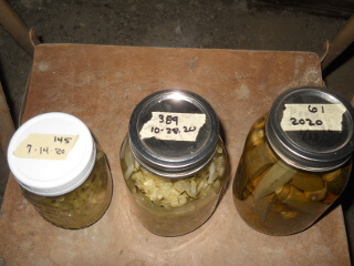 Final Preserved Zucchini & Okra Jars