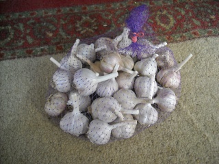 Purchased Garlic in Its Bag