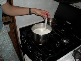 Goat Milk Cheese Milk Heating