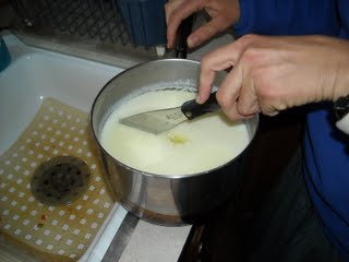 Goat Milk Cheese Cutting Curds in Pot
