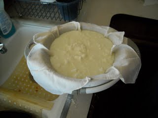 Goat Milk Cheese Whey Draining