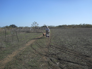 Sue Moving the First Does