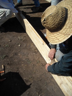 Placing Plywood in Foundation Built-up Beam