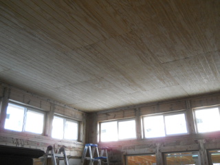 House Ceiling Facing Southwest