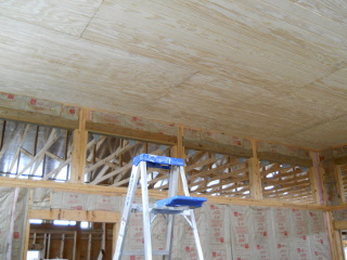 House Ceiling Complete