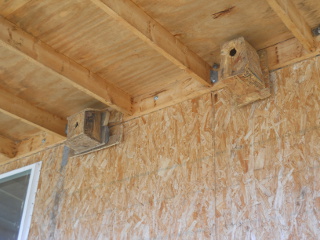 Both Birdhouses