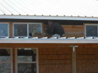 William Our Cat Supervising Putting on the Siding