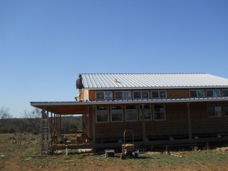 William Our Cat Supervising from the Upper Roof