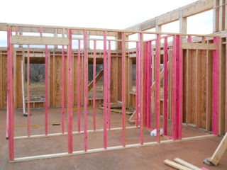 House Internal Walls View of Library from Bedroom