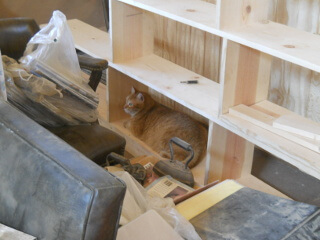 William in the Bookshelf