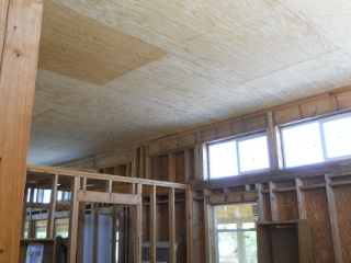 House Library Ceiling Panels Complete
