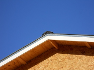 Metal Roof Fitted Foam in Ridge Cap end