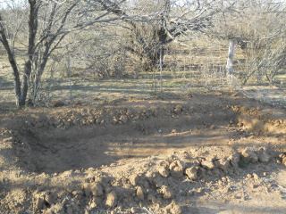 First Dug Out Level of Hugelkultur Garden Bed