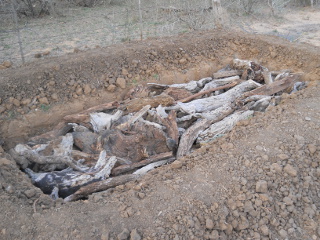 Hugelkultur Garden Bed First Rest of the Wood in Place