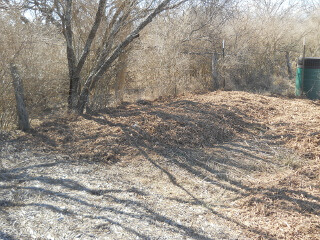 Covering Hugelkultur Bed in Mulch