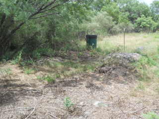 Ready to Continue Covering Hugelkultur Beds in Mulch