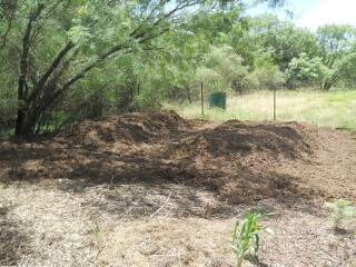 Hugelkultur Beds Covered in Mulch