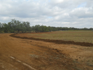 Inner Field Lower Berm