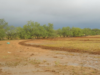 Inner Field Lower Berm After Rains