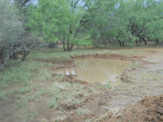 Inner Field Pond Filled After Rains