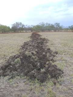 First Swale Trench Dug Out