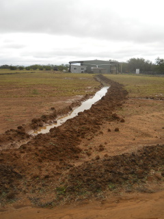 First Swale Trench After Rain