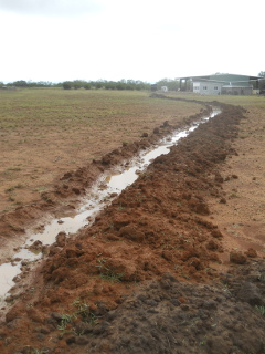 Second Swale Trench After Rain