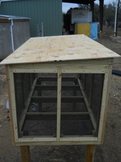 Meat Dryer Plywood Roof