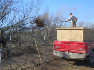 Pitching Mulch from the Truck Bed