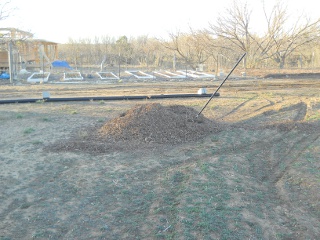 First Pile of Mulch for Garden 2 Facing Garden 1