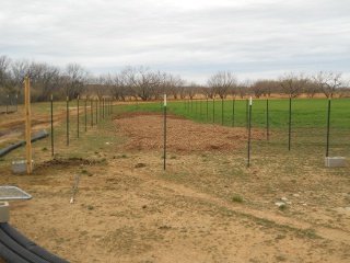 Garden 2 Fence Posts in Place