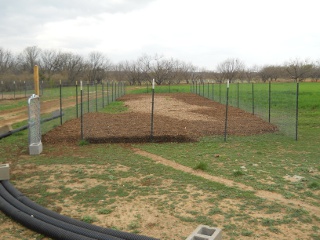 Garden 2 Almost Mulched