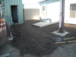 Landscaping Mulch Around Root Cellar