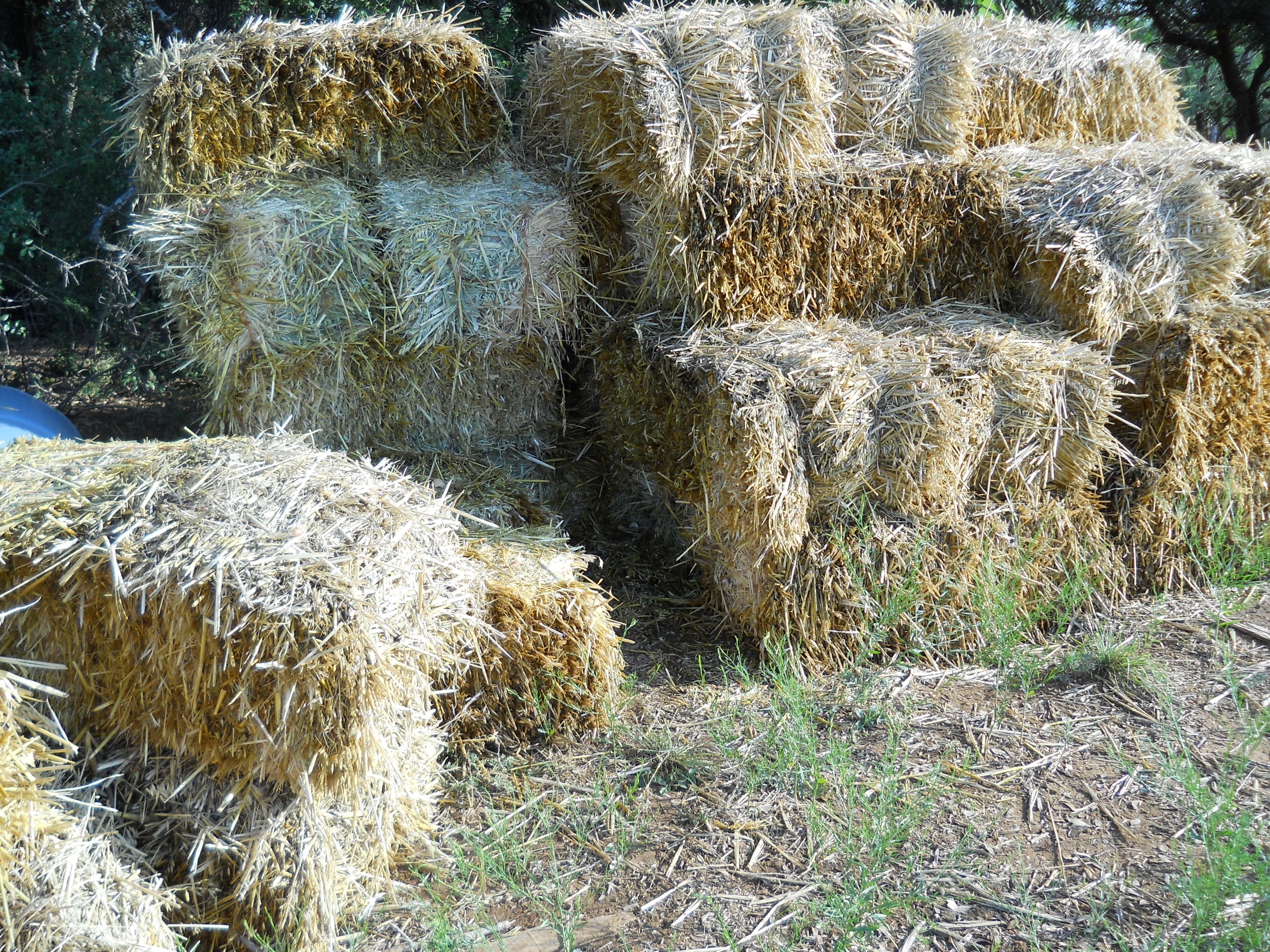 New Chicks 2012 Hay Bale Nest