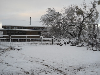 House & Snow