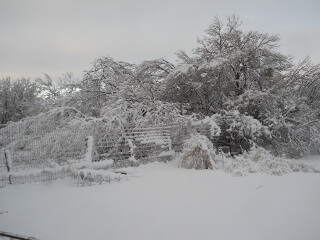 Garden & Snow