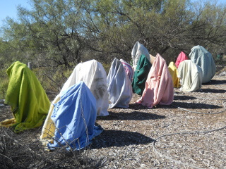 Okra Covered with Blankets