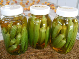 Okra Preserved in Apple Cider Vinegar