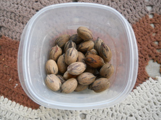 The Full Pecan Haul, Fall 2013