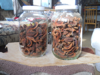 Dried Nectarines Stored in Jars