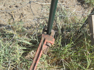 Turning T-Post with Pipe Wrench