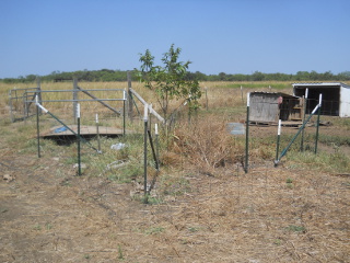 All Fencing T-Posts in Place