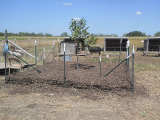 Mulch Layer Laid Down