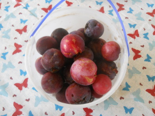 2016 Orchard Plums